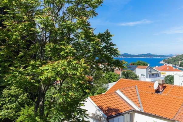 Niki Apartment Dubrovnik Exterior photo